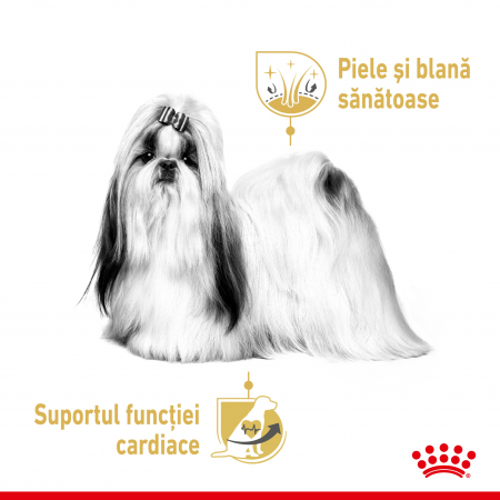 Royal Canin Shih Tzu Adult hrana umeda caine (pate), 85 g [5]