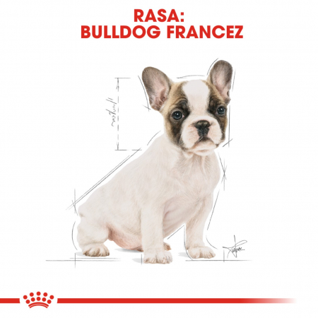 Royal Canin French Bulldog Puppy, 3 kg [7]