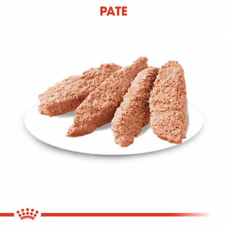 Royal Canin Exigent Adult hrana umeda caine, apetit capricios (pate), 12 x 85 g [2]
