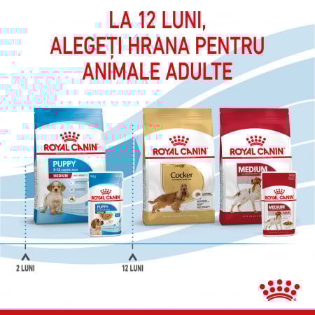 Royal Canin Medium Puppy hrana umeda caine junior (in sos), 10 x 140 g [5]