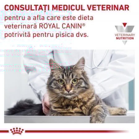 Royal Canin Gastro Intestinal Fibre Cat in sos, 12 x 85 g [4]
