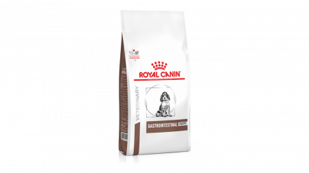 Caini - Royal Canin Gastrointestinal Junior Dog, 10 kg