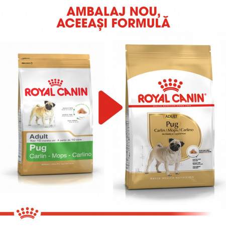 Royal Canin Pug Adult hrana uscata caine, 1.5 kg [7]