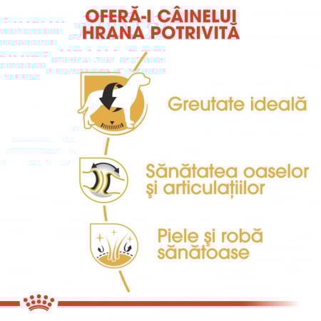 Royal Canin Labrador Adult hrana uscata caine, 12 kg [3]