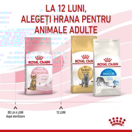 Royal Canin Kitten Sterilised, 2 kg [3]
