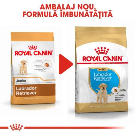 Royal Canin Labrador Retriever Puppy 12 Kg [1]
