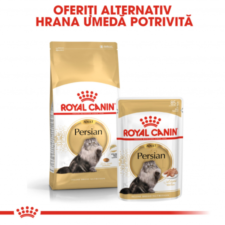 Royal Canin Persian Adult hrana uscata pisica, 2 kg [2]