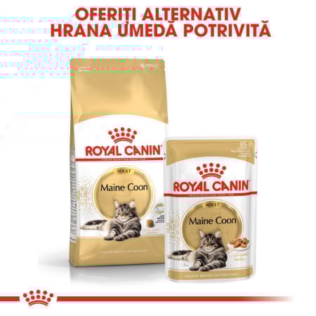 Royal Canin Maine Coon Adult, 4 kg [5]