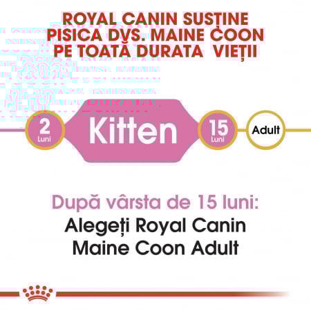 Royal Canin Maine Coon Kitten, 10 kg [4]