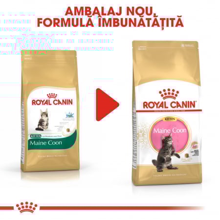Royal Canin Maine Coon Kitten, 10 kg [6]
