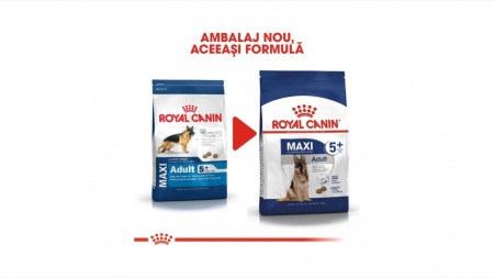 Royal Canin Maxi Adult (5+), 15 Kg [4]
