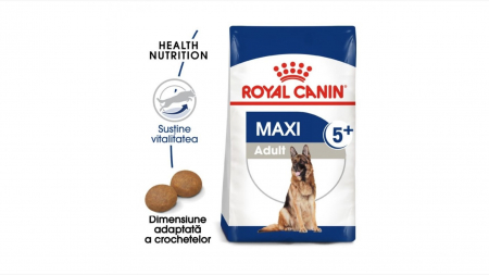 Caini - Royal Canin Maxi Adult (5+), 4 Kg