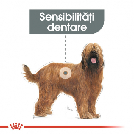 Royal Canin Maxi Dental Care Adult, hrană uscată câini, pentru dinti sanatosi, 3kg [1]