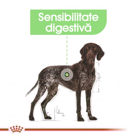 Royal Canin Maxi Digestive Care hrana uscata caine, confort digestiv, 12 kg [5]