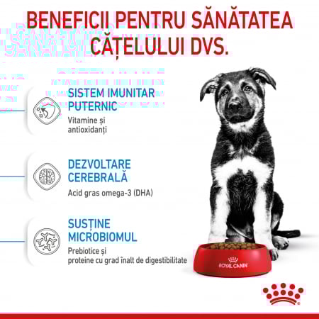 Royal Canin Maxi Puppy 15 Kg [7]