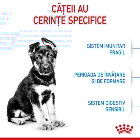Royal Canin Maxi Puppy 4 Kg [8]