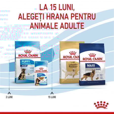 Royal Canin Maxi Puppy 4 Kg [4]