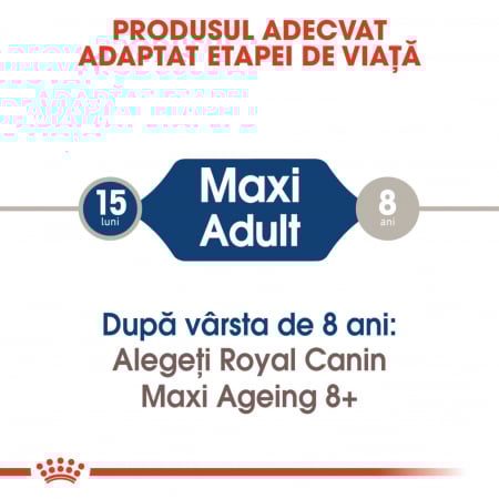 Royal Canin Maxi Adult hrana umeda caine (in sos), 140 g [5]
