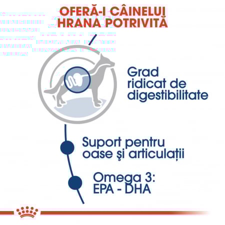 Royal Canin Maxi Adult hrana umeda caine (in sos), 140 g [3]