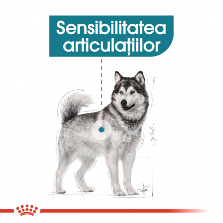 Royal Canin Maxi Sterilised Adult hrana uscata caine sterilizat, 12 kg [5]