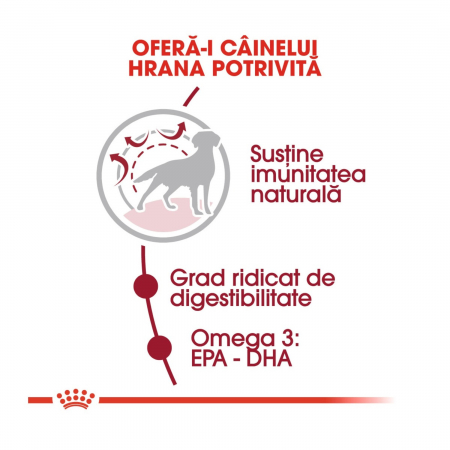 Royal Canin Medium Adult 15 + 3 Kg Gratis [4]