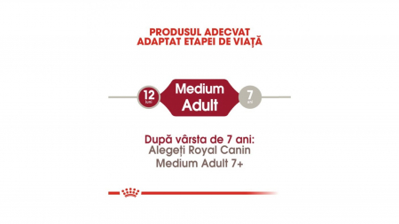 Royal Canin Medium Adult 12 Kg [3]