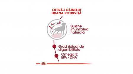 Royal Canin Medium Adult 12 Kg [5]