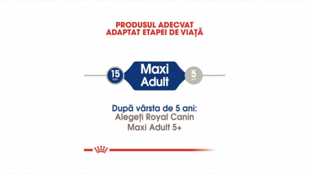 Royal Canin Maxi Adult 15 Kg [1]