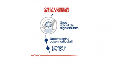 Royal Canin Maxi Adult 12 Kg [2]