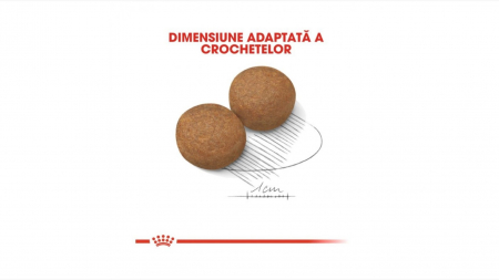 Royal Canin Maxi Adult 15 Kg [3]