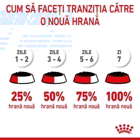 Royal Canin Maxi Puppy hrana umeda caine junior (in sos), 140 g [2]