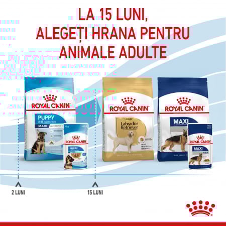 Royal Canin Maxi Puppy hrana umeda caine junior (in sos), 140 g [6]