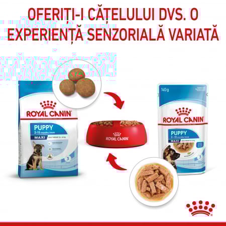 Royal Canin Maxi Puppy hrana umeda caine junior (in sos), 140 g [3]