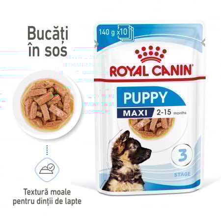 Royal Canin Maxi Puppy hrana umeda caine junior (in sos), 140 g [9]