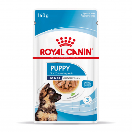 Caini - Royal Canin Maxi Puppy hrana umeda caine junior (in sos), 10 x 140 g