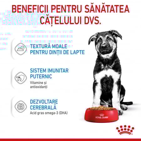 Royal Canin Maxi Puppy hrana umeda caine junior (in sos), 140 g [10]