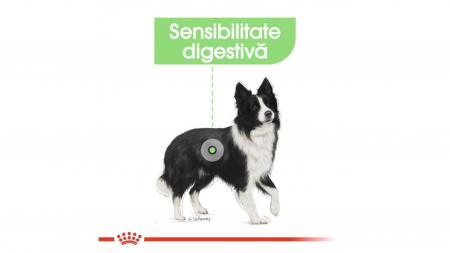 Royal Canin Medium Digestive Care hrana uscata caine, 10 kg [1]