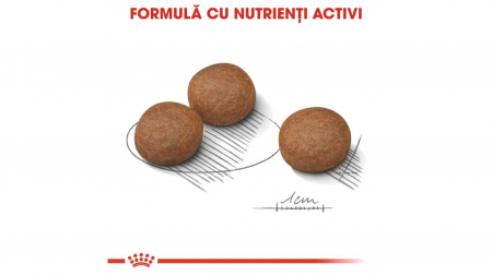 Royal Canin Medium Digestive Care hrana uscata caine, 3 kg [2]