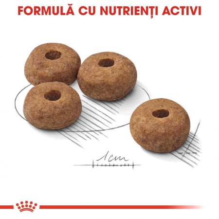 Royal Canin Medium Sterilised Adult, hrană uscată câini sterilizați, 12kg [3]