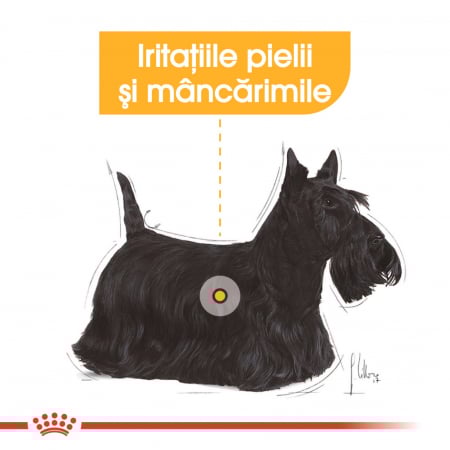Royal Canin Mini Dermacomfort, 8 kg [5]