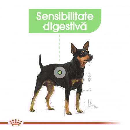 Royal Canin Mini Digestive Care 3 kg [3]