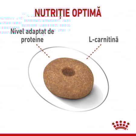 Royal Canin Mini Light Weight Care Adult, hrană uscată câini, Controlul greutatii, 3  kg Royal Canin Mini Light Weight Care Adult, hrană uscată câini, Controlul greutatii, 3  kg [6]