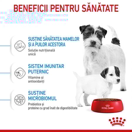 Royal Canin Mini Starter 8 kg [3]