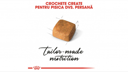 Royal Canin Persian Kitten hrana uscata pisica junior, 2 kg [2]