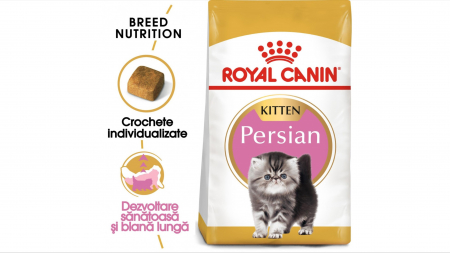 Pisici - Royal Canin Persian Kitten hrana uscata pisica junior, 2 kg