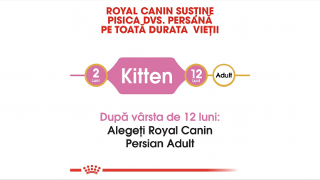 Royal Canin Persian Kitten hrana uscata pisica junior, 400 g [4]
