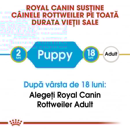 Royal Canin Rottweiler Puppy hrana uscata caine junior, 12 kg [5]