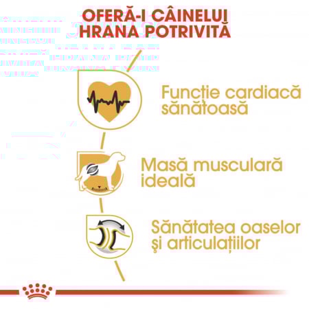 Royal Canin Rottweiler Adult hrana uscata caine, 3 kg [2]