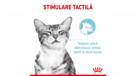 Royal Canin Sensory Feel, hrana umeda pisica pentru stimularea simtului tactil (in sos), 1 x 85 g [7]