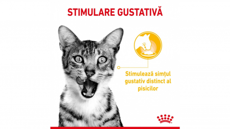 Royal Canin Sensory, pachet mixt, hrană umedă pisica, stimularea simțurilor (în sos), 12 x 85g [3]